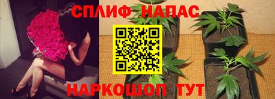 гашишное масло Краснодар