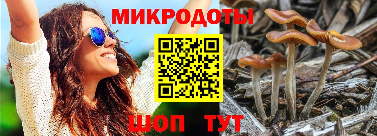 Галлюциногенные грибы прущие грибы Калининград