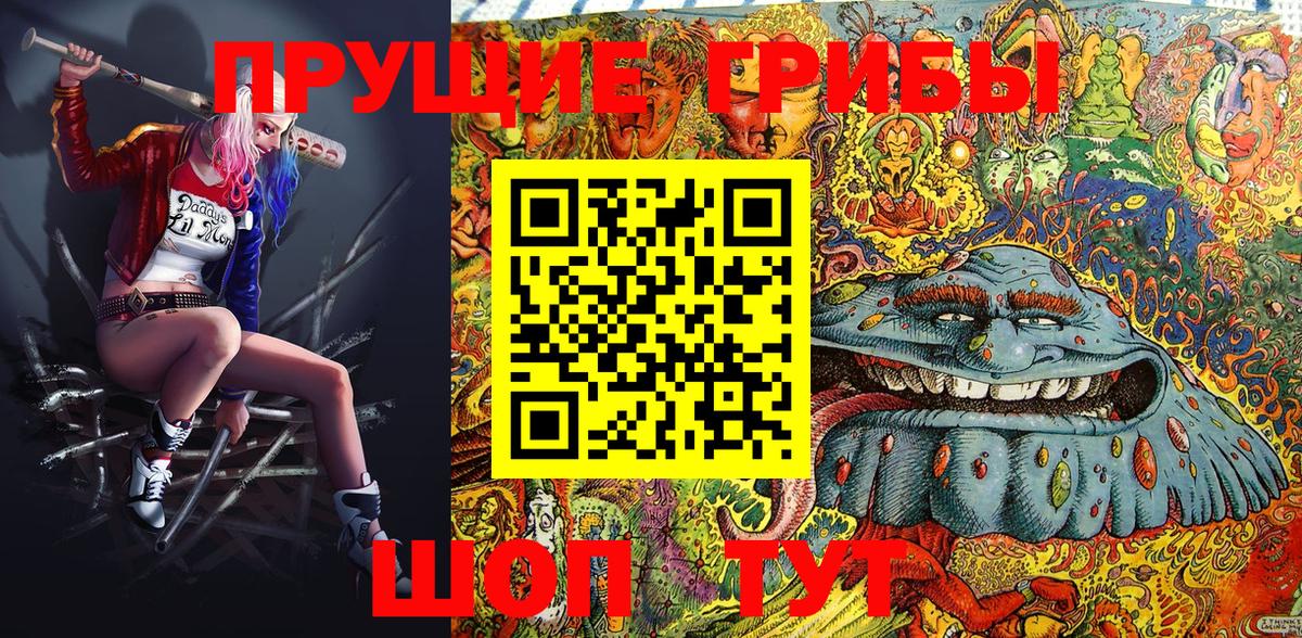 Калининград  Псилоцибиновые грибы MAGIC MUSHROOMS  Галлюциногенные грибы Cubensis  Вход с VPN 